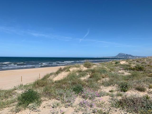 Appartement Golf Y Mar - Oliva Nova Extérieur photo